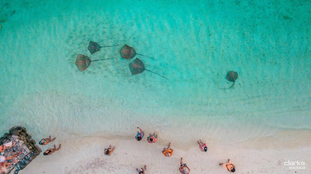 Swarn By Hawks Hotels Kamadhoo Esterno foto